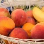 Frugt krydsord - mulige løsninger til ledetråden frugt