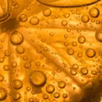 Hvilken type citronpresser er bedst til at udvinde mest saft?